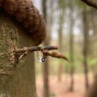 Nature-Based Practice for Counsellors and Adult Support Practitioners